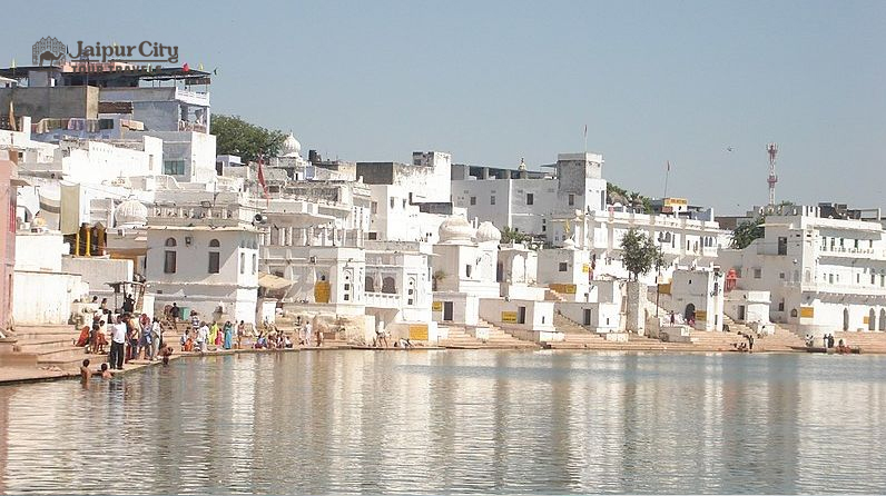 Jaipur pushkar tour
